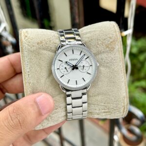 Evergreen Fossil