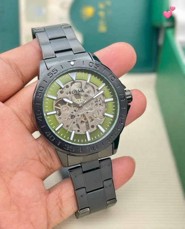 Fossil Evanstone